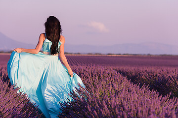 Image showing woman in lavender flower field