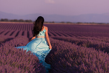 Image showing woman in lavender flower field