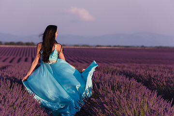 Image showing woman in lavender flower field