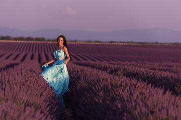 Image showing woman in lavender flower field