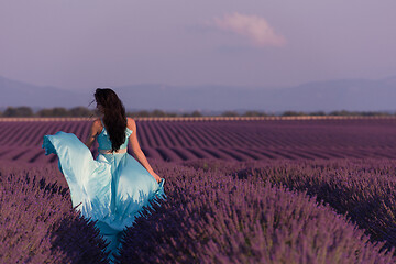 Image showing woman in lavender flower field