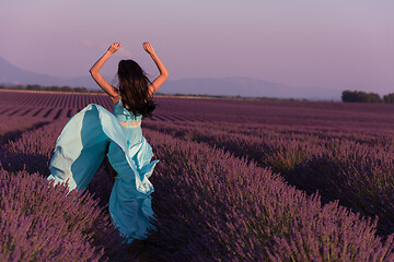 Image showing woman in lavender flower field