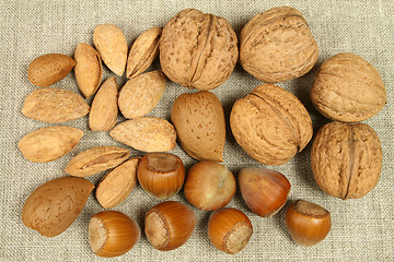 Image showing Nuts