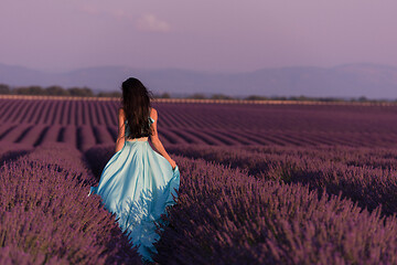 Image showing woman in lavender flower field