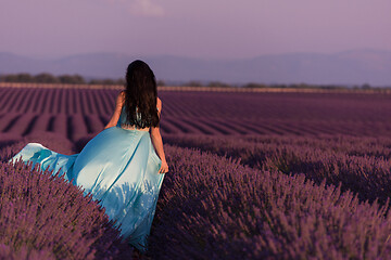 Image showing woman in lavender flower field