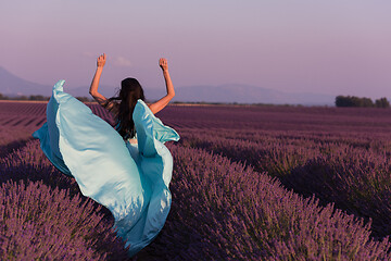 Image showing woman in lavender flower field