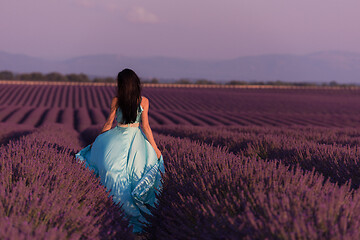 Image showing woman in lavender flower field