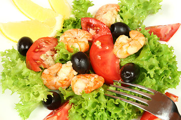 Image showing Shrimps in salad