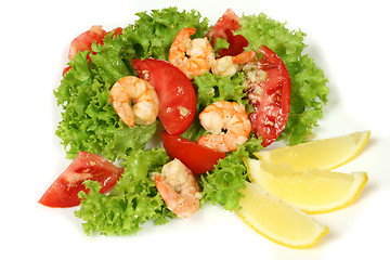 Image showing Shrimp salad