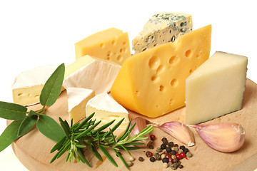 Image showing Cheese variety