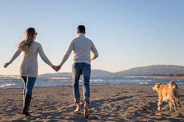 Image showing couple with dog having fun on beach on autmun day