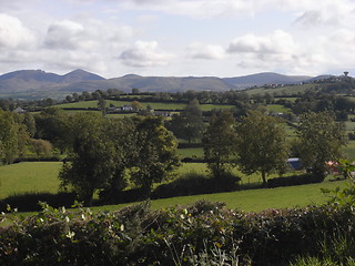 Image showing County Down farmland