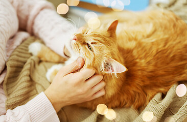 Image showing close up of owner with red cat in bed at home