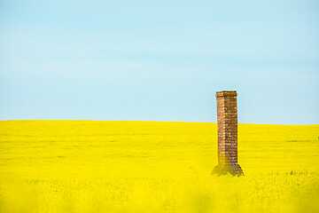 Image showing Old brick chimney ruin rises from canola fields