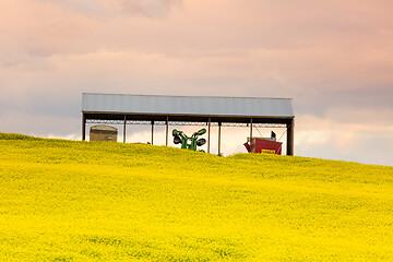 Image showing Farming shed in canola field