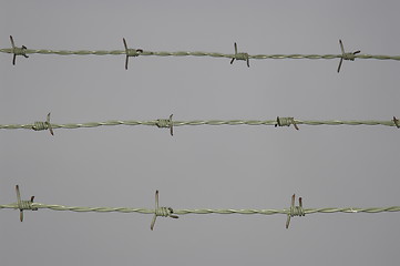 Image showing Barb wire