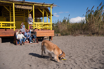 Image showing Group of friends having fun on autumn day at beach