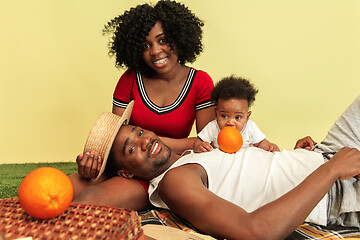 Image showing Happy family having picnic at studio