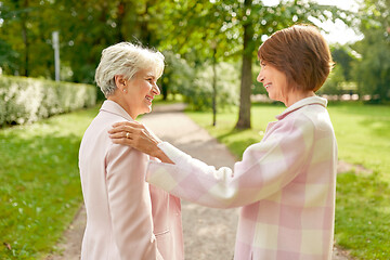 Image showing senior women or friends talking at summer park