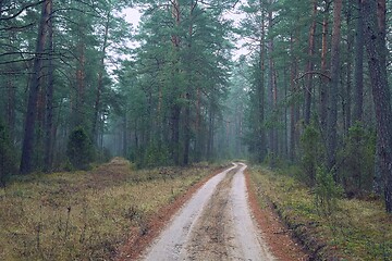 Image showing Forest walking path in misty weather