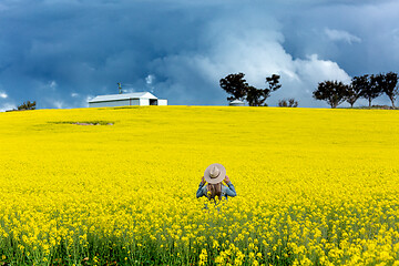 Image showing Farm girl in field of canola with storm looming