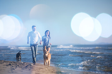 Image showing couple with dog having fun on beach on autmun day