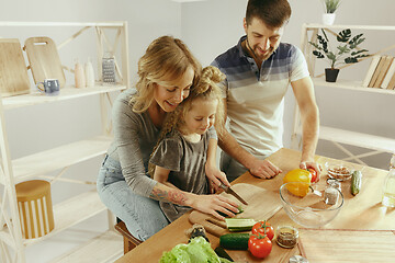 Image showing Cute little girl and her beautiful parents are cutting vegetables in kitchen at home