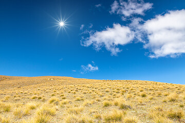 Image showing dry grass hill meadow with space for your content