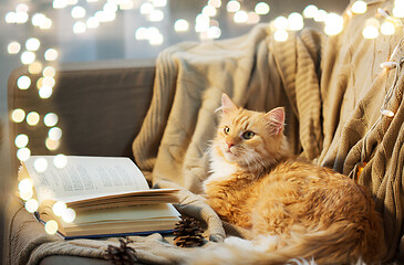 Image showing red cat lying on sofa with book and cones at home