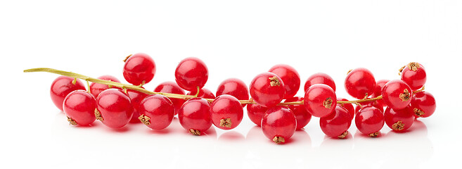 Image showing red currant berries