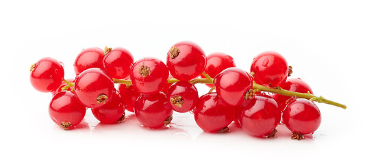 Image showing wet red currant berries on white background