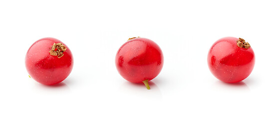 Image showing three red currant berries macro