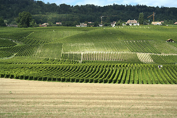 Image showing Country landscape