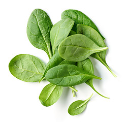 Image showing fresh green spinach leaves