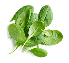 Image showing fresh green spinach leaves