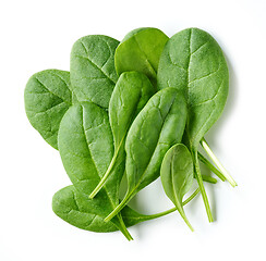 Image showing fresh green spinach leaves