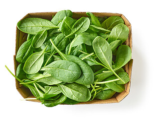 Image showing fresh green spinach leaves