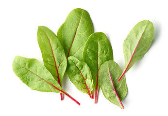 Image showing fresh green beet root leaves