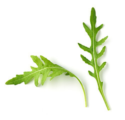 Image showing fresh green arugula leaves