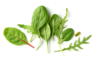 Image showing various salad leaves