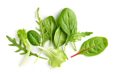 Image showing various salat leaves