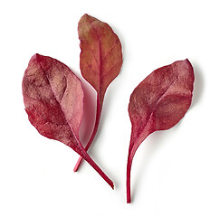 Image showing fresh red salad leaves