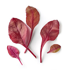 Image showing fresh red salad leaves