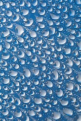 Image showing Shiny Water Droplets