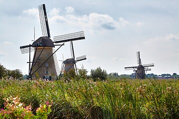 Image showing Windmills in the Dutch lowlands