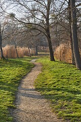 Image showing Walk in the autumn lakeside park