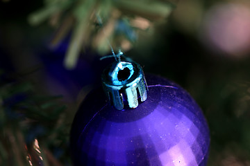 Image showing Christmas ornaments on tree.