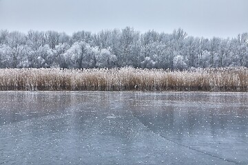 Image showing Skating on a lake