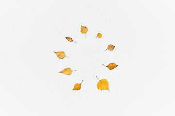 Image showing Autumnal leaves