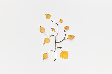 Image showing Autumnal leaves and twigs